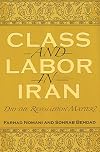 Class And Labor in Iran: Did the Revolution Matter? (Modern Intellectual and Political History of the Middle East)