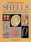 The Encyclopedia Of Shells