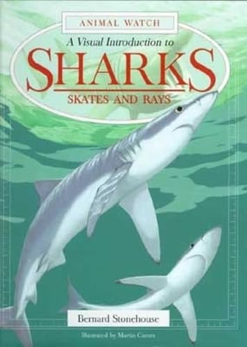 Cover of Sharks