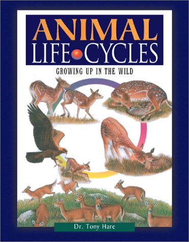 Cover of Animal Life Cycles