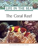 The Coral Reef Life In The Sea
