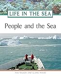 People And The Sea Life In The Sea