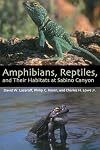 Amphibians, Reptiles, and Their Habitats at Sabino Canyon (The Southwest Center Series)