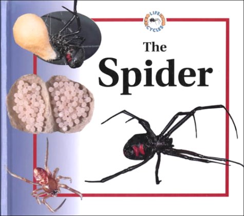 Cover of The Spider