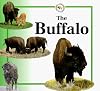 The Buffalo (Life Cycles (Raintree Paperback))