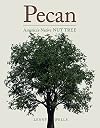 Pecan : America's native nut tree