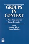 Groups in Context: A New Perspective on Group Dynamics