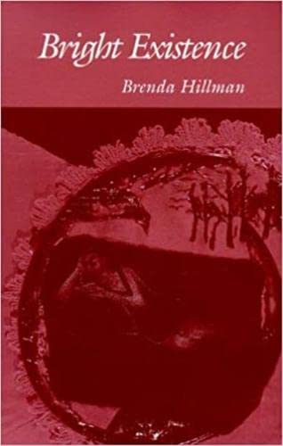 Altazor book cover