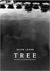 Tree : Belief/Culture/Balance