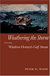 Weathering the storm : inside Winslow Homer's Gulf Stream
