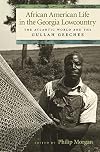 African American Life in the Georgia Lowcountry: The Atlantic World and the Gullah Geechee (Race in the Atlantic World, 1700-1900)