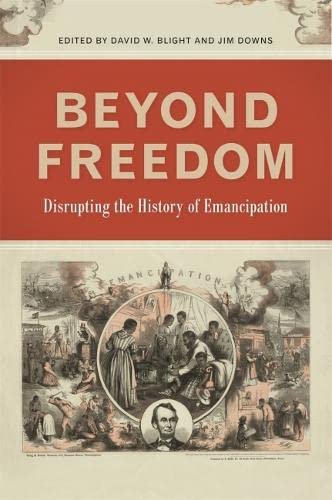 Beyond Freedom: Disrupting the History of Emancipation cover