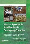 Biochar Systems for Smallholders in Developing Countries Leveraging Current Knowledge and Exploring Future Potential for Climate-Smart Agriculture