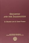 Geometry and the imagination