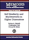 Self-similarity and multiwavelets in higher dimension