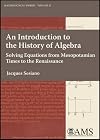 An Introduction to the History of Algebra: Solving Equations from Mesopotamian Times to the Renaissance (Mathematical World)