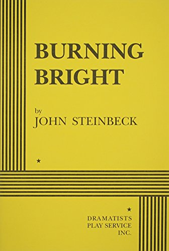 Burning Bright book cover