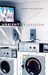 Ambient Television: Visual Culture and Public Space