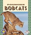 Pouncing Bobcats (Pull Ahead Books: Animals)
