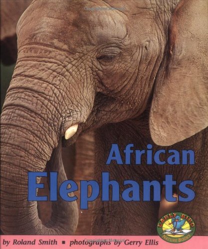 African Elephants book cover