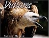 Vultures