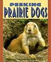 Peeking Prairie Dogs (Pull Ahead Books: Animals)