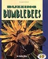 Buzzing Bumblebees (Pull Ahead Books: Animals)