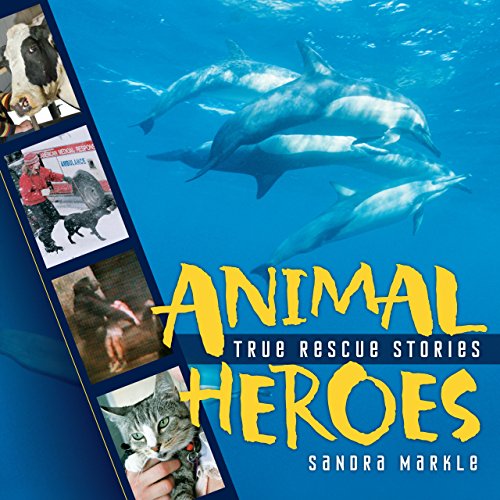 Cover of Animal heroes