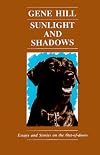 Sunlight and Shadows