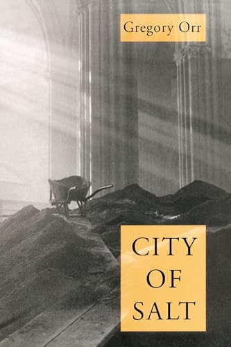 City Of Salt (By: Gregory Orr) cover