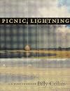 Picnic, Lightning
