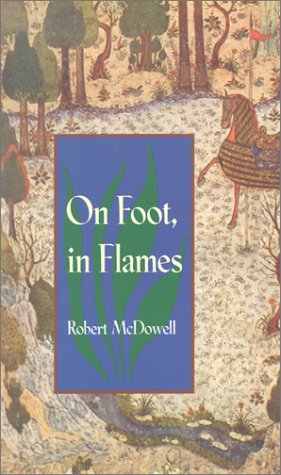 On Foot In Flames book cover