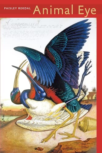 Animal Eye book cover