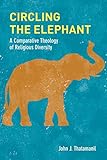 Circling The Elephant A Comparative Theology Of Religious Diversity Comparative Theology Thinking Across Traditions 8