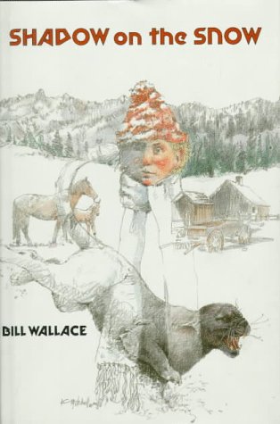 Shadow on the Snow cover