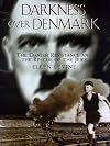 Darkness over Denmark: The Danish resistance and the rescue of the Jews