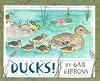 Ducks!