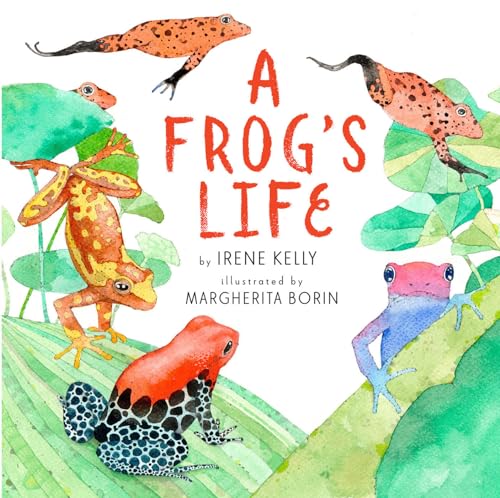 Cover of A frog's life