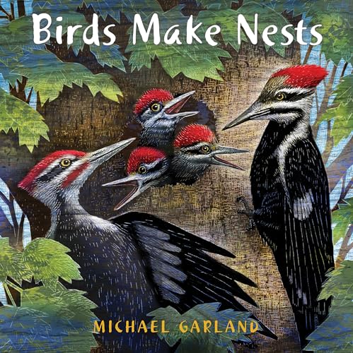 Cover of Birds make nests