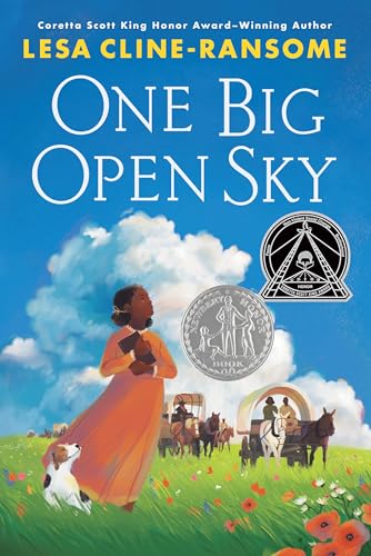 One Big Open Sky 표지