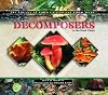 Decomposers in the Food Chain (The Library of Food Chains and Food Webs)