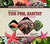 Food Chains in a Tide Pool Habitat (The Library of Food Chains and Food Webs)