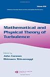 Mathematical and Physical Theory of Turbulence