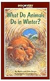 What Do Animals Do in Winter? (Discovery Readers)