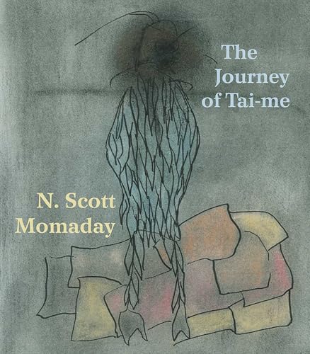 The Journey of Tai-me book cover