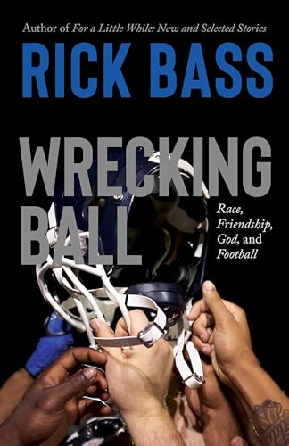 Wrecking Ball book cover