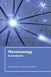 Phenomenology: An Introduction