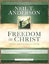 Freedom in Christ Small-Group Bible Study: A Life-Changing Discipleship Program