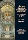 The Twelve Prophets (Ancient Christian Commentary on Scripture: Old Testament, Volume XIV)
