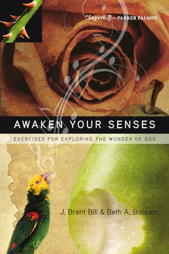 Awaken Your Senses: Exercises for Exploring the Wonder of God book cover